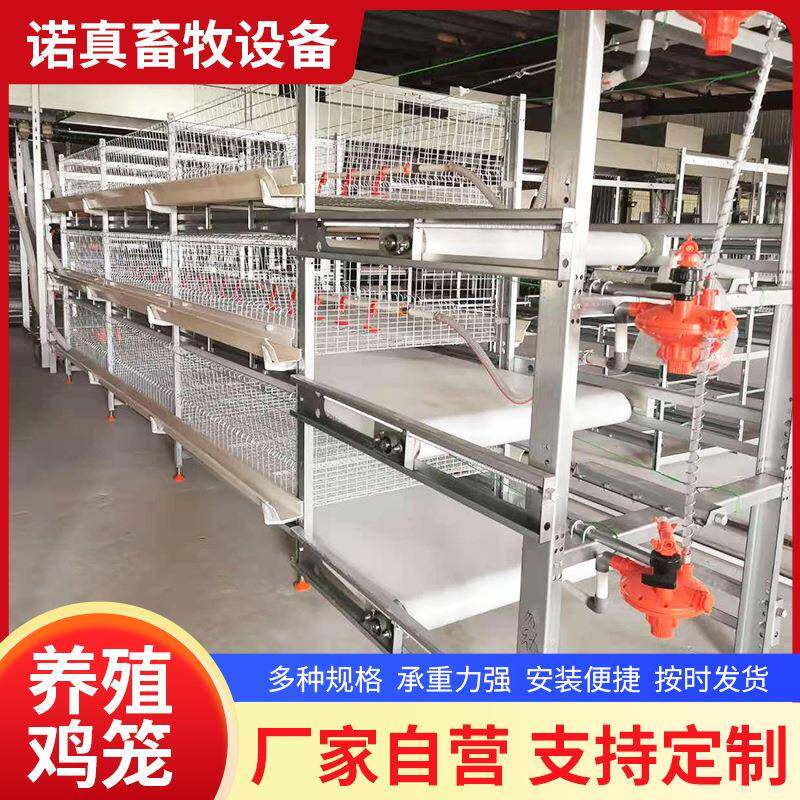 全自动养鸡设备养殖肉鸡笼镀锌肉鸡笼元宝立式肉鸡笼