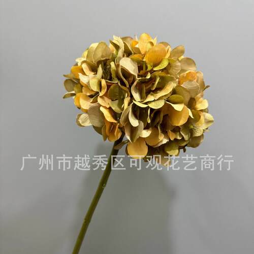 中式秋色洋绣球单枝干花渐变绣球古典花色单头短枝绣球花婚庆装饰
