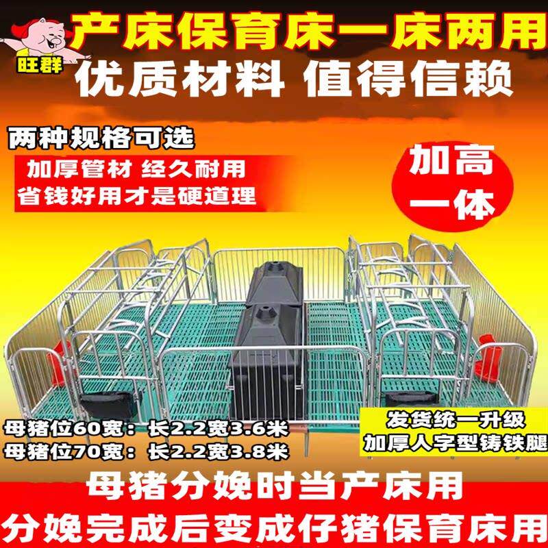 全复合母猪产床双体产保一体两用床热镀锌单体母猪产床仔猪保育床