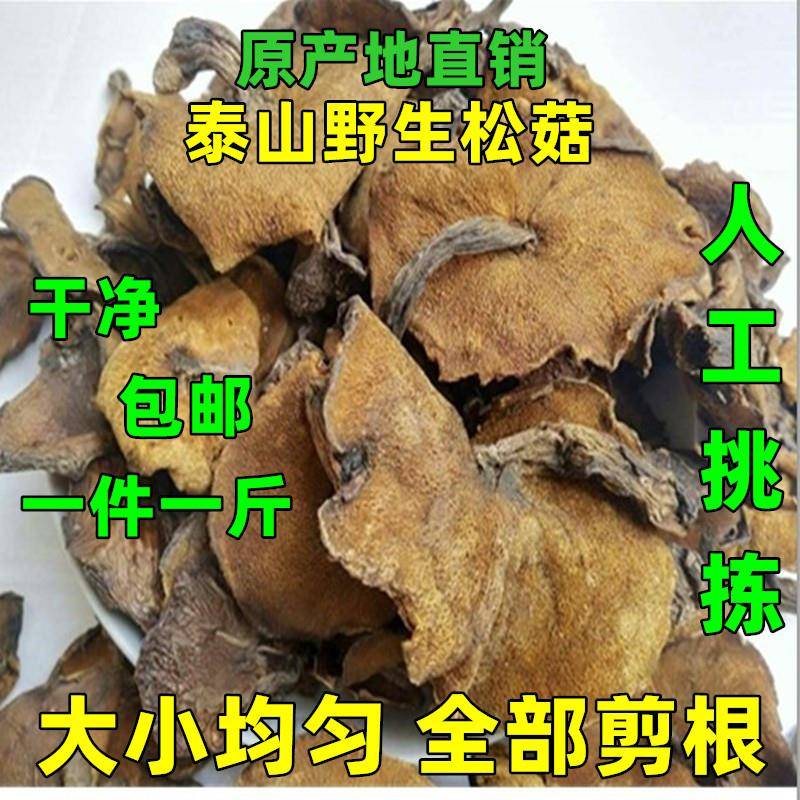 山东特产野生松蘑菇新鲜小香菇干 干货松菇炖鸡蘑菇莪子菇松莪子