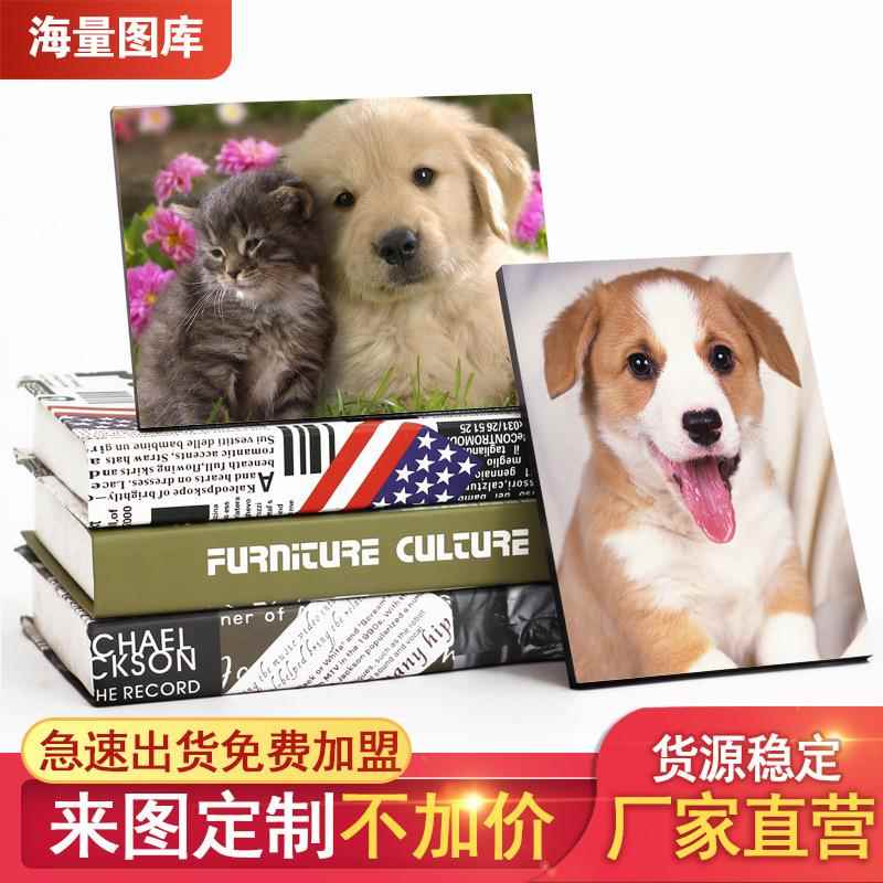 空白木版画DIY印刷客厅走廊摆件装饰画可爱宠物相框纪念礼品