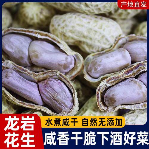 龙岩水煮花生500g袋装晒干 干原味带壳零食茶酒配福建特产食品