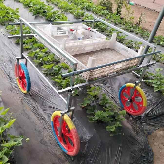 草莓采摘车手推车蔬菜瓜果运输工具轻便草莓专用运输车大棚农用