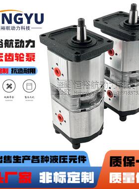 马祖奇油泵MARZOCCHI齿轮泵ALPA2-D-20-EP+ALPP2D-13-EP液压泵