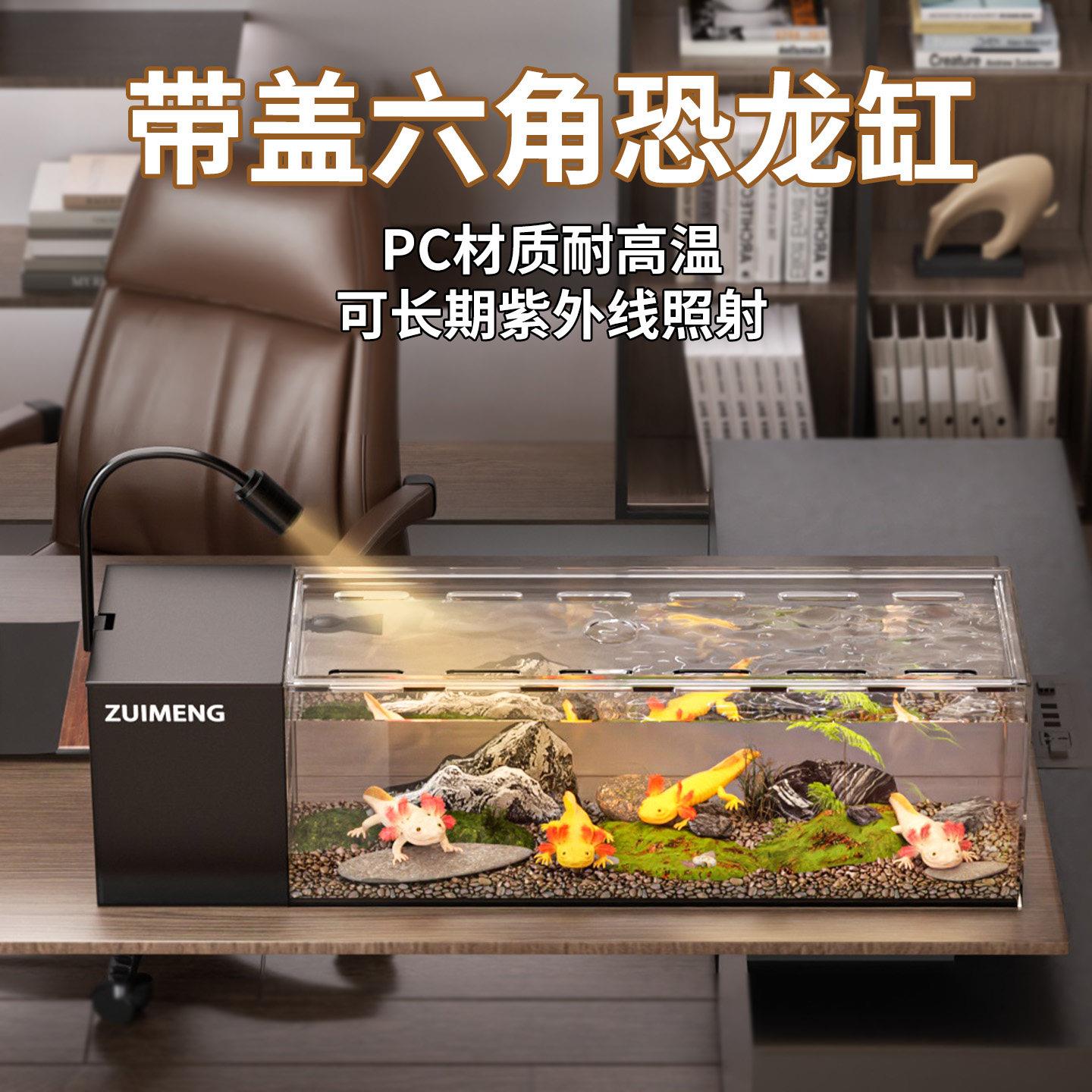 六角恐龙鱼专用缸增氧过滤一体侧滤溪流鱼缸长方形带盖子蝾螈饲养