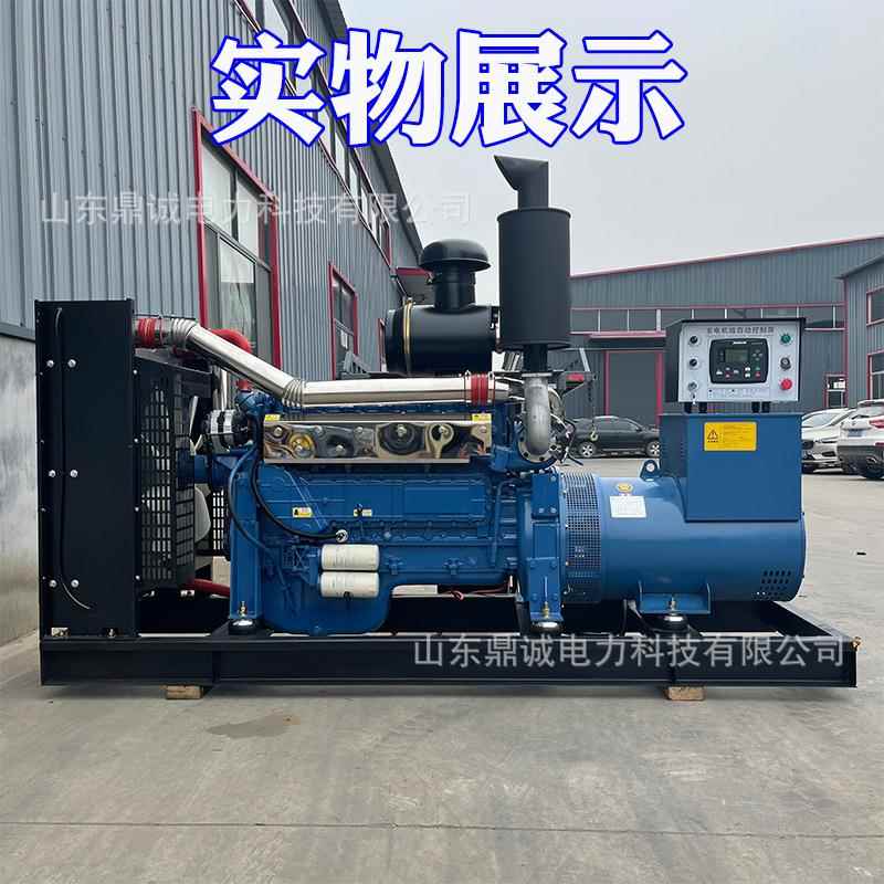 350kw发电机组 工厂工地酒店养殖场学校200/250/350千瓦发电机组