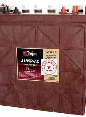 美国TROJAN邱健蓄电池J305G-AC叉车 升降机 电动洗地机6V315AH包