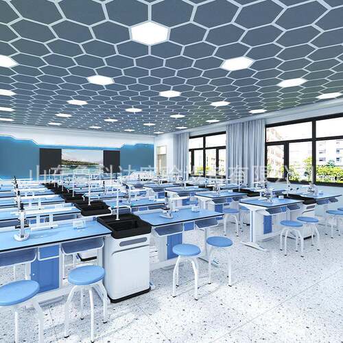 新型生物实验室实验台试验工作教师实验桌中小学科学探究实验台