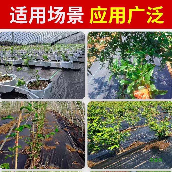 果园厂家直销地膜遮草布防草布耐用除草防草布布地布果树