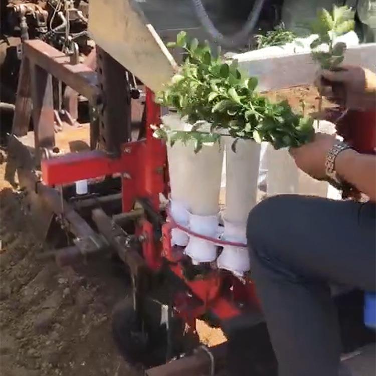 辣椒移苗器椒多行黄瓜定植机幼苗移903栽器定制8苗行种辣苗苗机