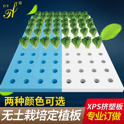 台丰定制 挤塑板无土栽培设备气雾栽墙壁上种出蔬菜 无土栽培蔬菜
