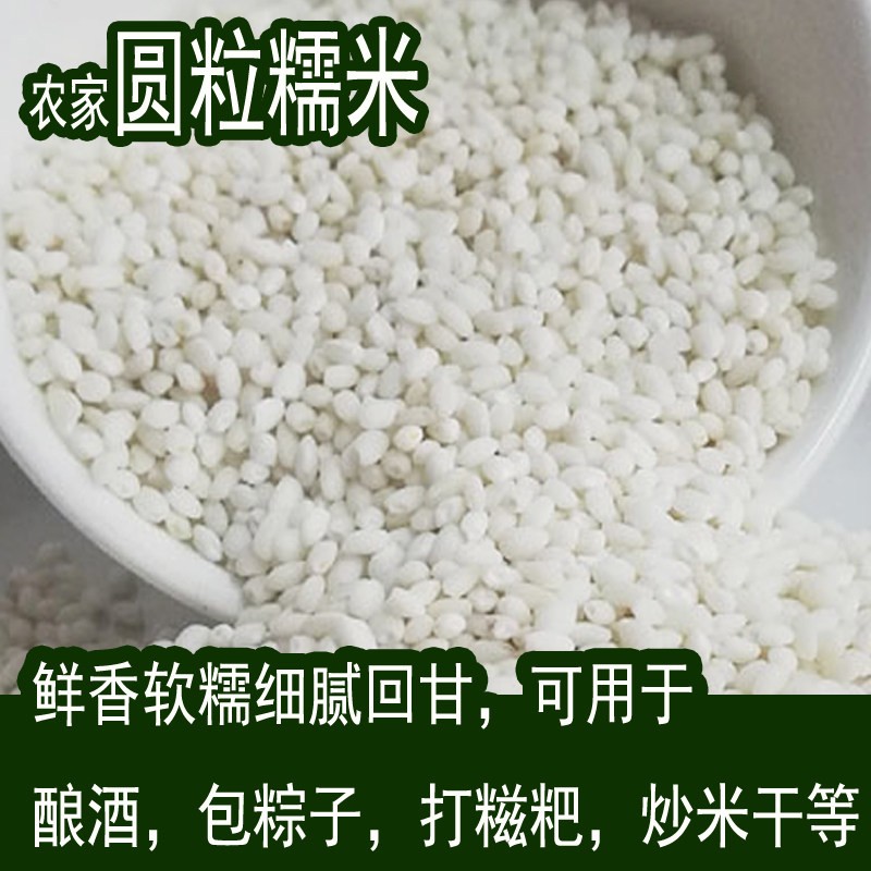 四川农家圆粒糯米优质香白江米煮粥酿酒包粽子纯正新米糍粑5斤装