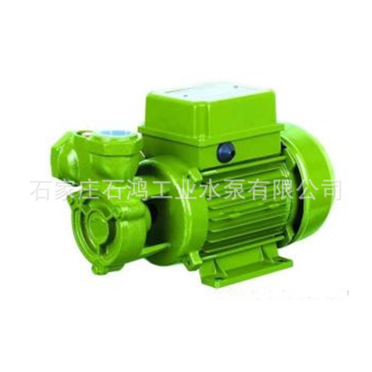 牌W型旋涡泵旋涡泵生产厂家40W-40旋涡泵规格型号齐全