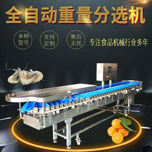 全自动重量分选机现货火龙果山竹称重机柠檬甘蓝分级机挑选机