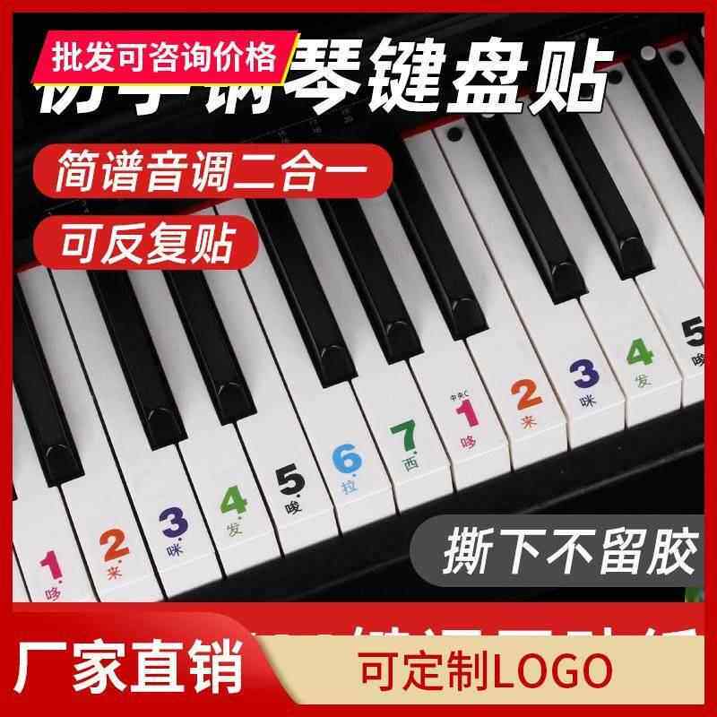 透明简谱88键钢琴贴76/61/54/49键电子琴键盘贴纸琴按键音标贴彩