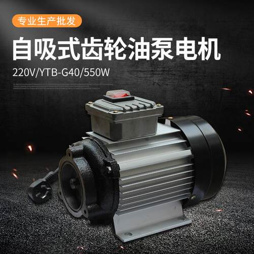 电动齿轮交流抽油泵电机220VYTB-G40550w液压油油机油自吸泵