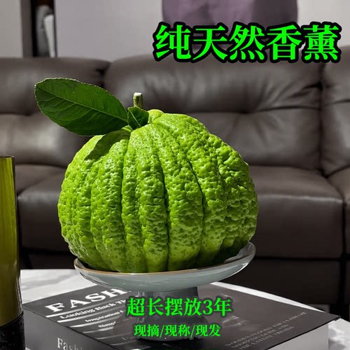 纯天然清香果-超长摆放3年