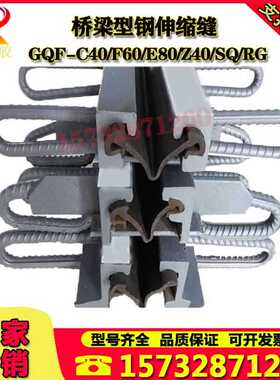 桥梁伸缩缝装置GQF-F60RG80/Z60/E80/C40/SQL型D40型钢伸缩缝胶条