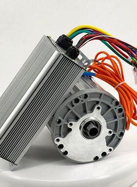 电动车用无刷电机60v72v1500w2000w3000w大功率直流差速电动机