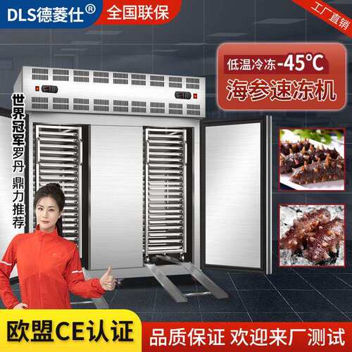 商用速冻柜急冻冰箱包子饺子急冻柜零下45度速冻速冻机冻海鲜