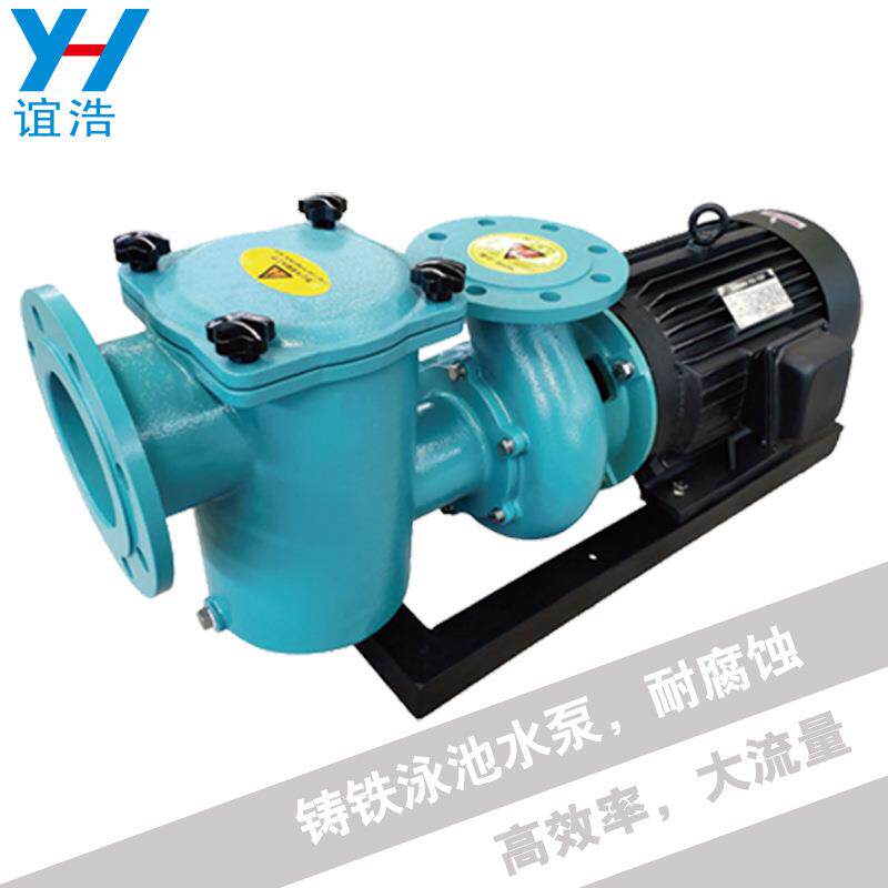 泳池水泵铸铁铸铜泵SPA按摩水疗泵3-15匹带毛发收集器过滤循环泵