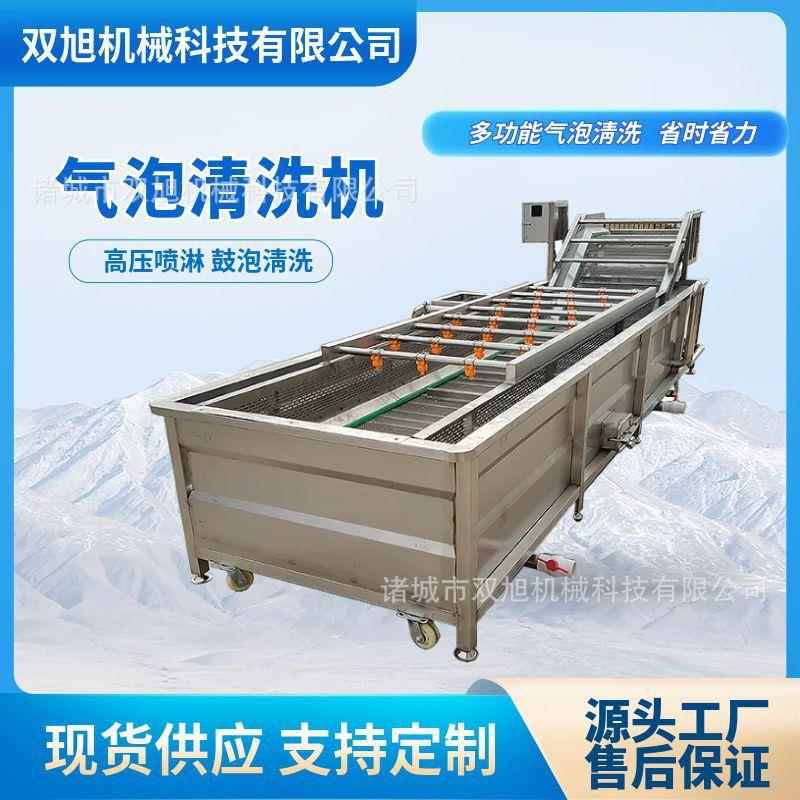 全自动喷淋式蓝莓气泡清洗机枇杷果洗果机余甘子气泡清洗机