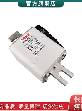 170M5237 5257 5280 5281 5282 5283 5284 5289 巴斯曼快速熔断器