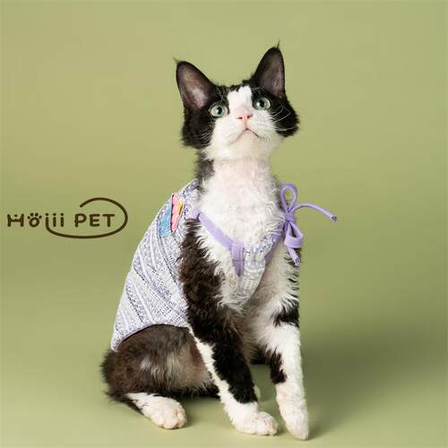 HOiii PET夏季冰淇淋灯笼裙德文猫衣服可爱无毛猫背心裙薄款透气