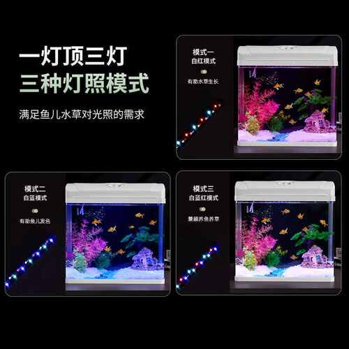 金鱼缸水族箱2024小型鱼缸弯桌面生态造景客厅新款家用玻璃热懒人