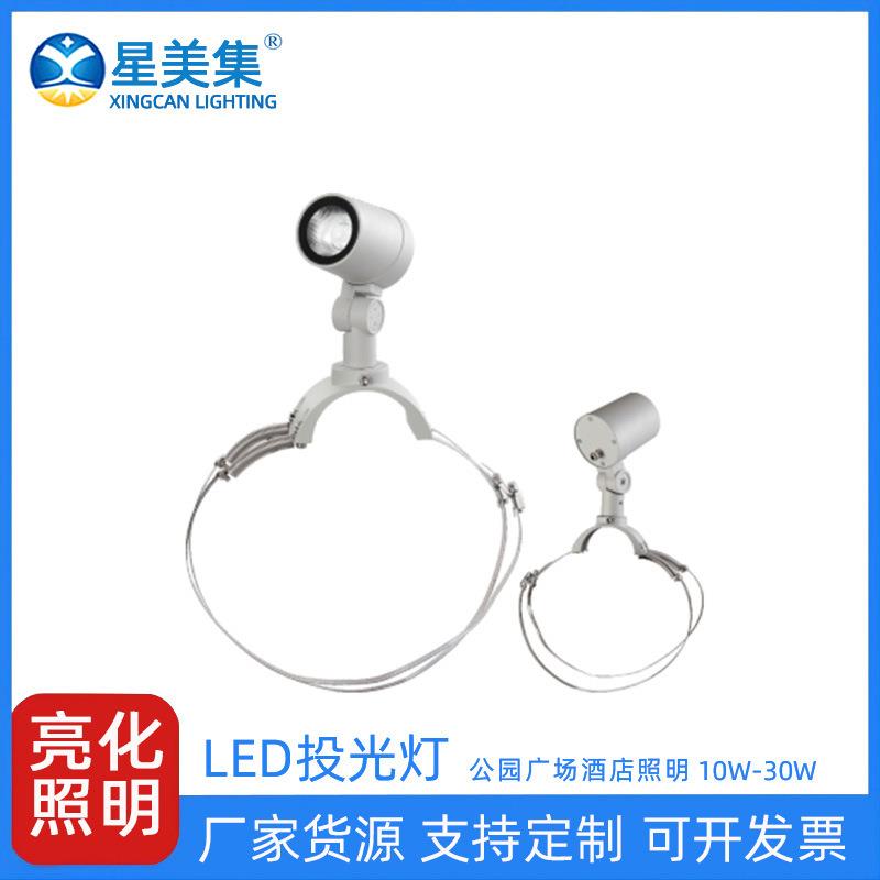 10W20W30W户外花园庭院景观灯市政园林亮化工程LED照树灯