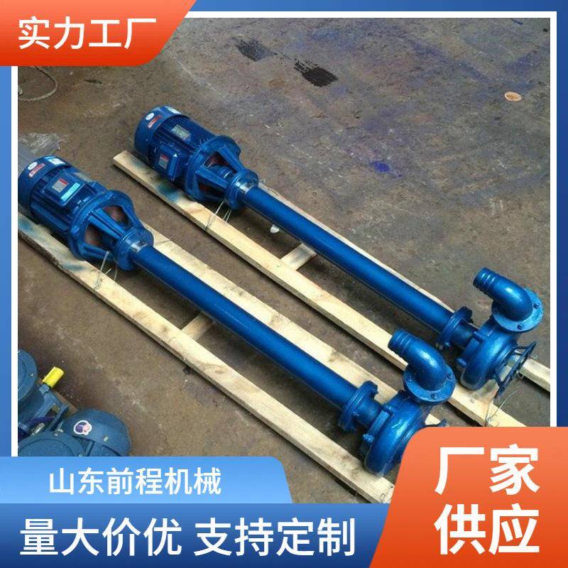 前程NL双管立式泥浆泵 地基加固注浆机 潜水渣浆泵 连续式工作