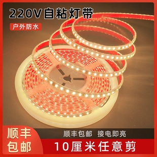 超亮灌胶户外防水可弯曲家用室外 220v免驱动灯带自粘背胶LED