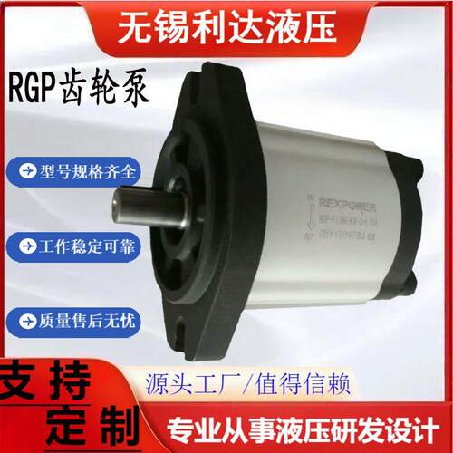 REXPOWER液压齿轮油泵 RGP-F316R/F310R/306 RGP-F318R-K4-C-L103