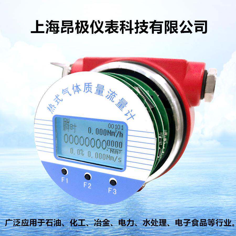 高精度热式气体质量流量计电路测量范围可选适用于多种气体介质