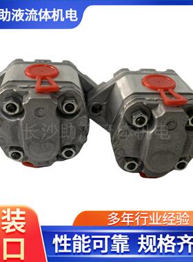 马祖奇Marzocchi风电行业用微型动力单元齿轮泵双向泵U0.25R30VNK