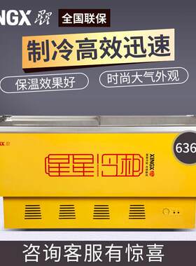 星星（XINGX）冷冻冰柜卧式冷柜 岛柜 商用冰柜市展示柜 SD-636BP