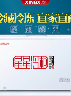 星.星冷柜单温一级冷藏冷冻转换柜商用超市冰柜顶开门节能省电家
