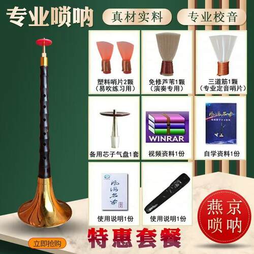 高档六孔笛唢呐乐套器全 降b子小调6孔黑檀乌木成人儿童初学D调大