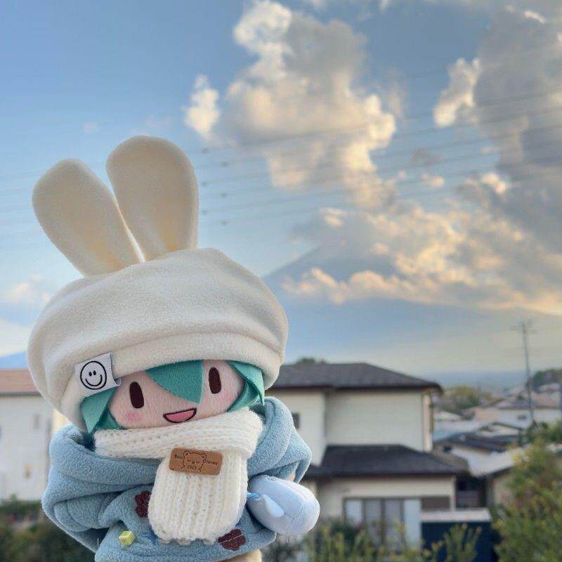 原创初音未来娃衣fufu15/20/30/40cm小寒套装换装卫衣玩偶衣服萌