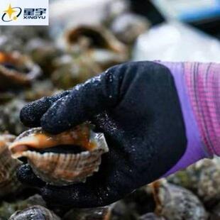 12双 星宇红宇L69女士小号紫色全胶防防滑细纹保劳RGD水8手套