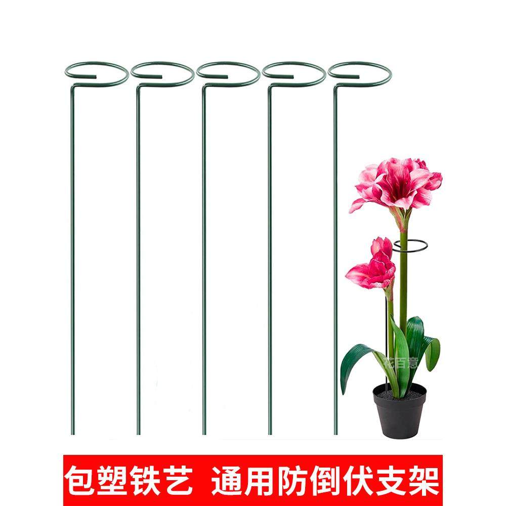 植物防倒伏支架铁艺绣球吊兰支撑杆园艺固定架爬藤花卉朱顶红花架,鲜花速递/花卉仿真/绿植园艺,花架,淘宝优惠券,粉丝福利购,淘宝优惠卷