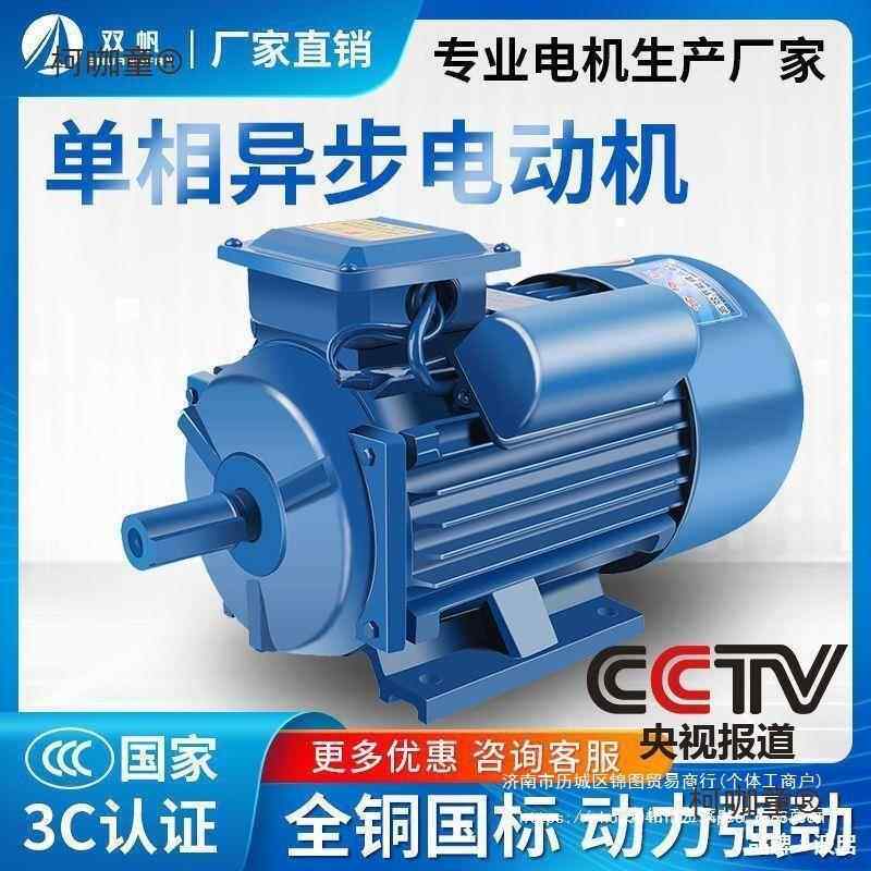 单相电机RCR220V小型两相40.75麦/1.1/1K.5/2.2/3/W全铜异步电动