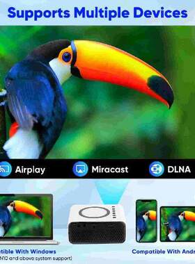 Mobile Phone Projector Portable Mini Media Player For