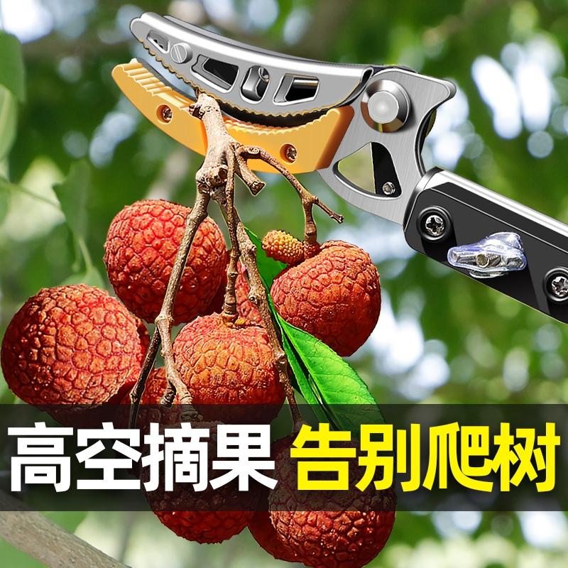 摘果神器伸缩杆采摘枇杷高枝剪水果高空剪树枝专用剪刀加厚头荔枝