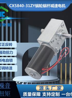 CX5840齿轮箱31ZY双出轴蜗轮蜗杆自锁售货机微型直流减速电机调速
