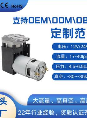 工厂定制迷你真空气泵微型小型活塞或者隔膜可选择有刷无刷往复泵