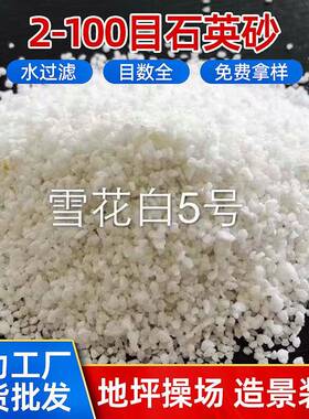 厂家 白色石英砂 滤料水处理石英砂 工业除锈石英砂