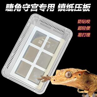 睫角守宫网格压板镇纸板盖勾亚巨人R属无纺布垫材人渣饲养盒压板