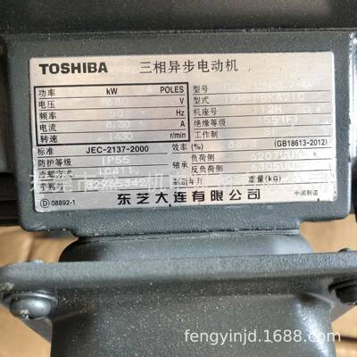 电机TD2-160M-11-4AIH-FBA21C11W4P卧式380V50HZ
