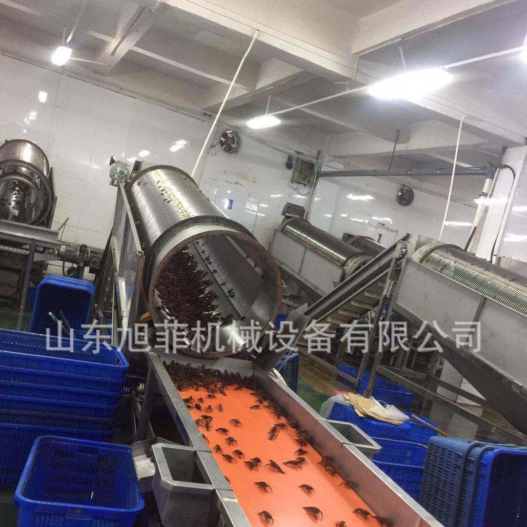 小龙虾滚筒分级机商用小龙虾蒸煮入味机卤煮漂烫加工设备